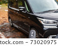 Keyless and car 73020975