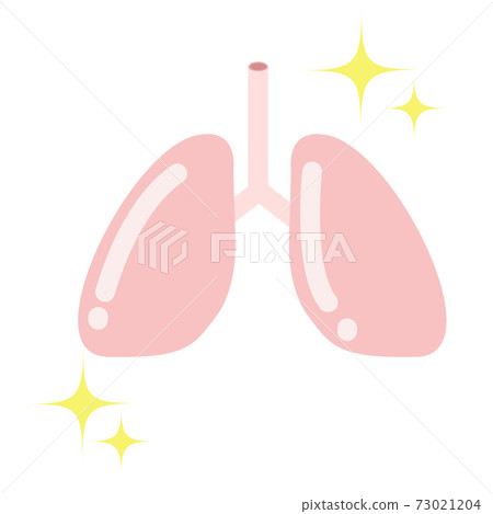 Illustration of organs / lungs Illustration of organs / lungs 73021204