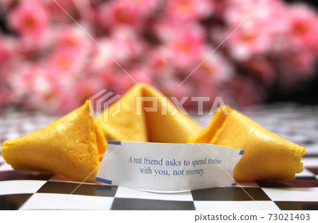 Fortune Cookie 73021403