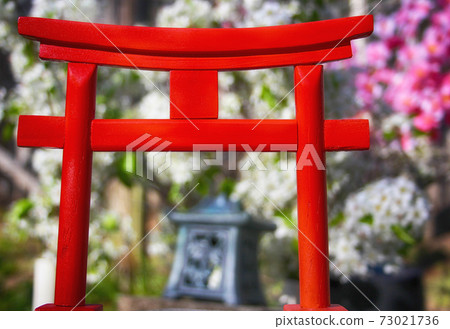 Torii Gate With Pear and Cherry Blossoms Torii Gate With Pear and Cherry Blossoms 73021736