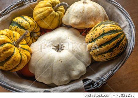 Pumpkin, patisson and jack be little in a decorative basket 73022255