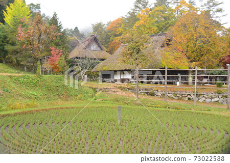秋天的飛ida民俗村,飛ida的佐藤 秋天的飛ida民俗村,飛ida的佐藤 73022588