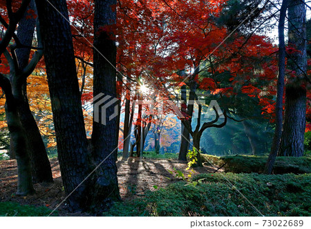Autumn scenery Autumn scenery 73022689