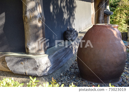 Matsuyama Garden Museum Cat Museum 73023019