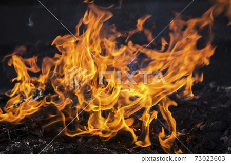 Flame, fire, fire, vigorous flame 73023603