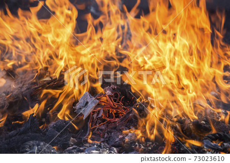 Flame, fire, fire, vigorous flame 73023610