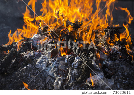 Flame, fire, fire, vigorous flame 73023611