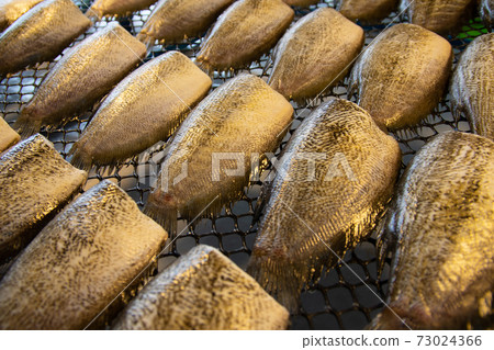 Dried Gourami Dried Gourami 73024366