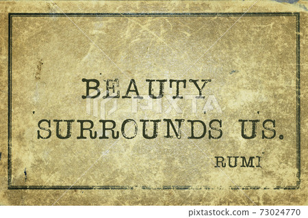beauty surrounds Rumi 73024770