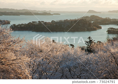 冬季太平洋中的松島和冉冉升起的太陽照亮的雪景|宮城縣 冬季太平洋中的松島和冉冉升起的太陽照亮的雪景|宮城縣 73024791