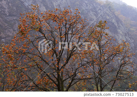 Wolyungjeong, Wolyongbong, Yeongdong-gun, Chungbuk Wolyungjeong, Wolyongbong, Yeongdong-gun, Chungbuk 73027513
