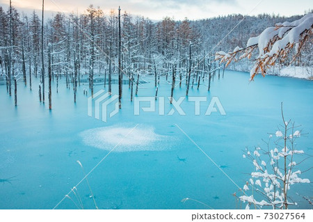 Biei-cho, Hokkaido Winter Blue Pond November Biei-cho, Hokkaido Winter Blue Pond November 73027564