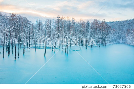 Biei-cho, Hokkaido Winter Blue Pond November 73027566