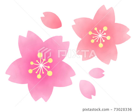 Watercolor simple cherry blossoms 73028336