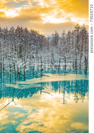 Biei-cho, Hokkaido Snow and sunrise blue pond November Biei-cho, Hokkaido Snow and sunrise blue pond November 73028710
