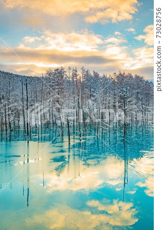 北海道美瑛町雪和日出藍色池塘11月 73028756