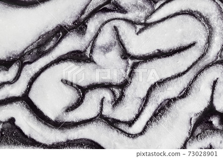 Cabbage background Cabbage background 73028901