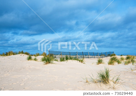 Dune on shore of the Baltic Sea in Warnemuende, Germany Dune on shore of the Baltic Sea in Warnemuende, Germany 73029440