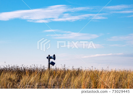 Dune grass and loudspeaker in Graal-Mueritz, Germany 73029445