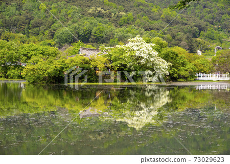 Woo Yangji,Miyangsi,Gyeongnam Woo Yangji,Miyangsi,Gyeongnam 73029623