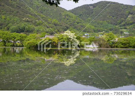 Woo Yangji，Miyangsi，Gyeongnam 73029634