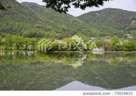 Woo Yangji，Miyangsi，Gyeongnam 73029635