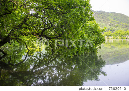 Woo Yangji,Miyangsi,Gyeongnam Woo Yangji,Miyangsi,Gyeongnam 73029640