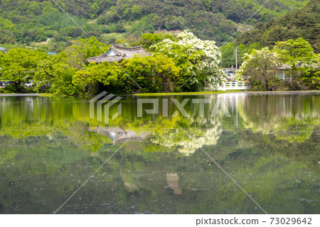 Woo Yangji, Milyangsi, Gyeongnam Woo Yangji, Milyangsi, Gyeongnam 73029642