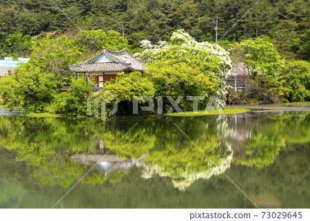 Woo Yangji,Miyangsi,Gyeongnam Woo Yangji,Miyangsi,Gyeongnam 73029645