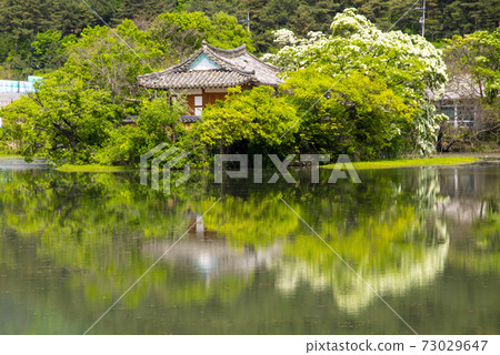 Woo Yangji, Milyangsi, Gyeongnam Woo Yangji, Milyangsi, Gyeongnam 73029647