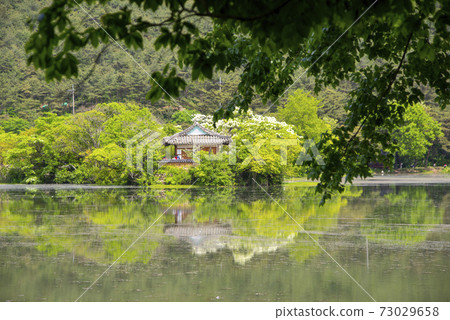 Woo Yangji,Miyangsi,Gyeongnam Woo Yangji,Miyangsi,Gyeongnam 73029658