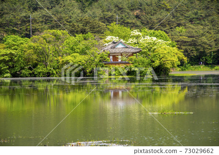 Woo Yangji, Milyangsi, Gyeongnam Woo Yangji, Milyangsi, Gyeongnam 73029662