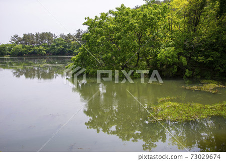 Woo Yangji, Milyangsi, Gyeongnam Woo Yangji, Milyangsi, Gyeongnam 73029674