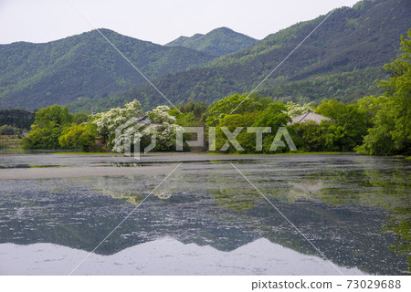 Woo Yangji, Milyangsi, Gyeongnam Woo Yangji, Milyangsi, Gyeongnam 73029688