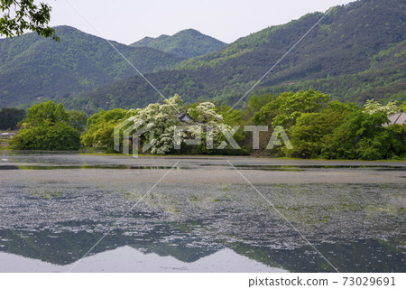 Woo Yangji,Miyangsi,Gyeongnam Woo Yangji,Miyangsi,Gyeongnam 73029691