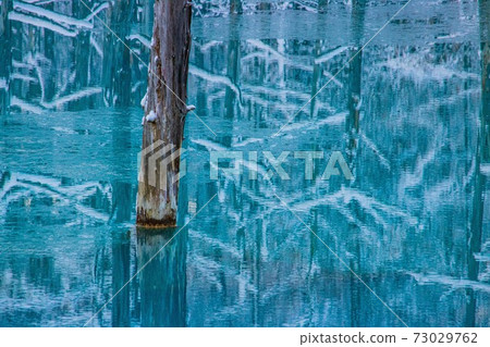 Biei-cho, Hokkaido Winter Blue Pond November 73029762