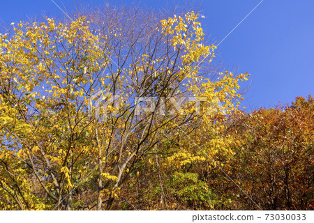 Chuwangsan, Cheongsong-gun, Gyeongbuk Chuwangsan, Cheongsong-gun, Gyeongbuk 73030033