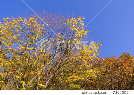 Chuwangsan, Cheongsong-gun, Gyeongbuk 73030034