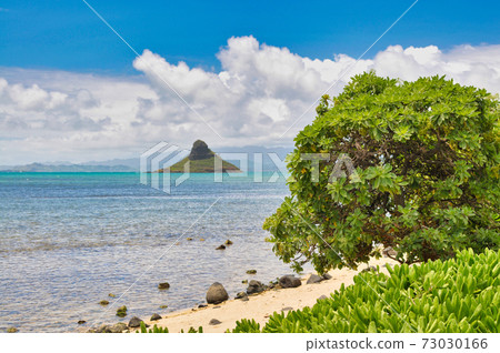 Beach on Oahu Beach on Oahu 73030166