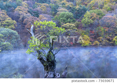 Main provinces, Cheongsong-gun, Gyeongbuk 73030671