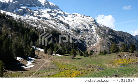 Swiss Alps Swiss Alps 73031054