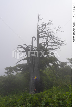 江原道太白市漢巴山 江原道太白市漢巴山 73031370
