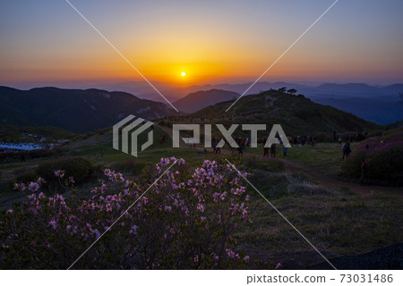 Hwangmae Mountain, Hacchun County, Gyeongnam Hwangmae Mountain, Hacchun County, Gyeongnam 73031486