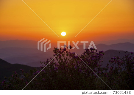 Hwangmae Mountain, Hacchun County, Gyeongnam Hwangmae Mountain, Hacchun County, Gyeongnam 73031488