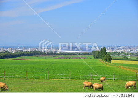<Hokkaido> Sapporo Sapporo Hitsujigaoka Observatory and Sapporo Dome 73031642