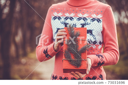 Female Holding Rustic Decorated Christmas Gift with tree branch Female Holding Rustic Decorated Christmas Gift with tree branch 73031696