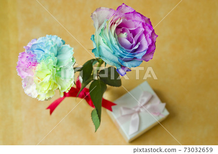 There are carnations and present boxes in multiple colors. There are carnations and present boxes in multiple colors. 73032659