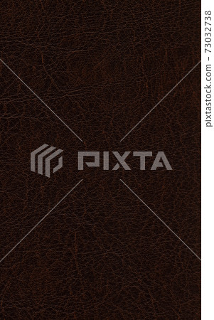 Brown Leather Brown Leather 73032738