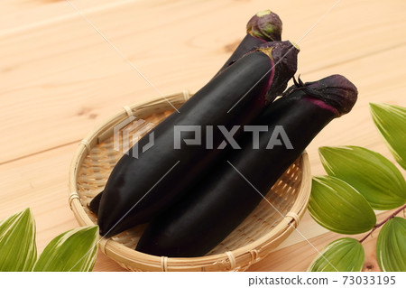茄子 茄子 73033195