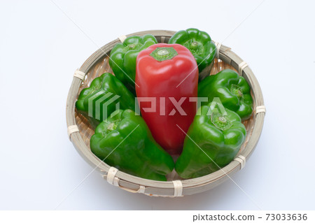 Colorful bell pepper Colorful bell pepper 73033636